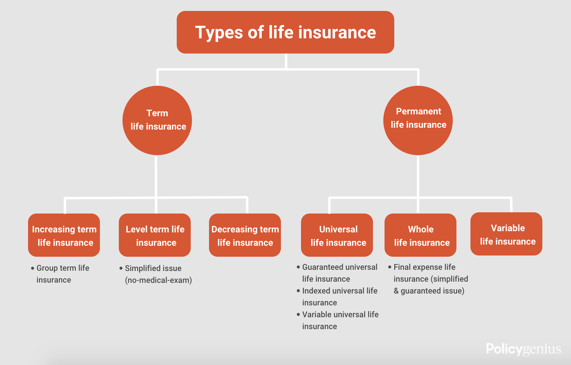 what are the 3 main types of life insurance?